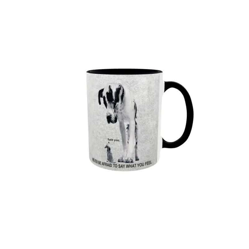 Never be afraid..., cana ceramica, 330ml