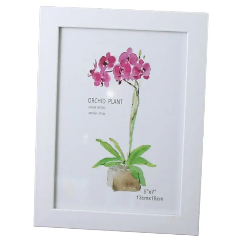 Rama foto dimensiune poza 13×18 cm, orchid plant, alb