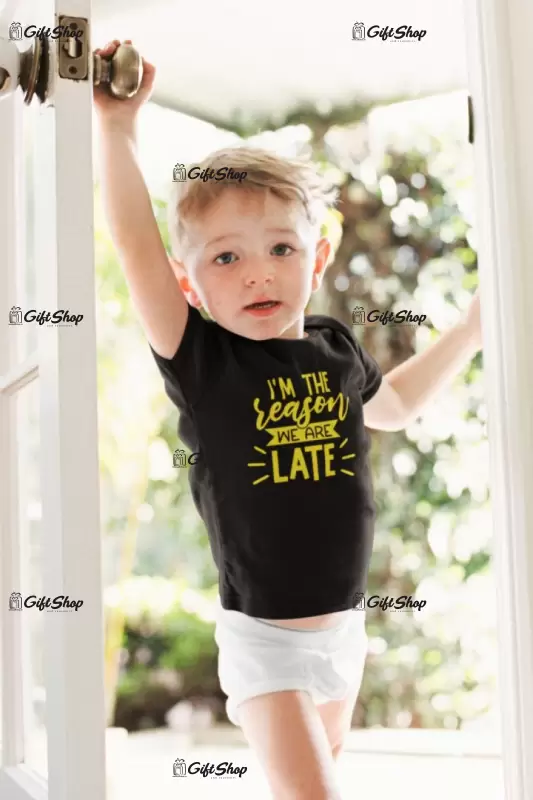 I`m the reason... , tricou cu mesaj