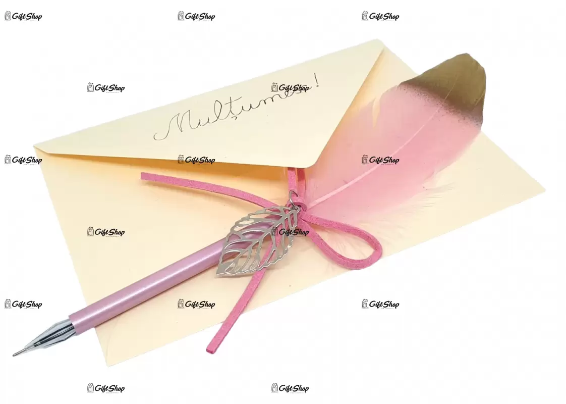 Set cadou pana de scris pix pana b