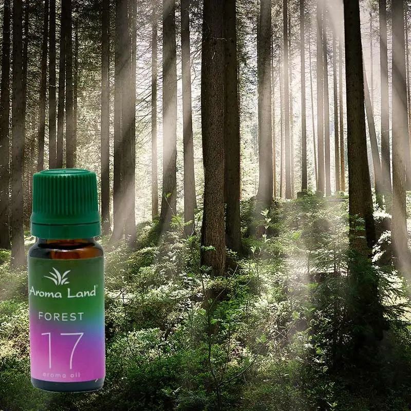 Forest, 10 ml, ulei parfumat, pentru aromaterapie si odorizare